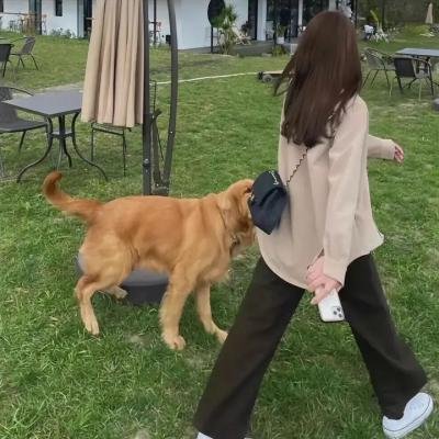 因何贫穷